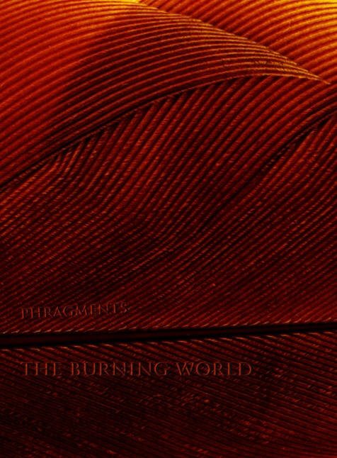The Burning World – cover